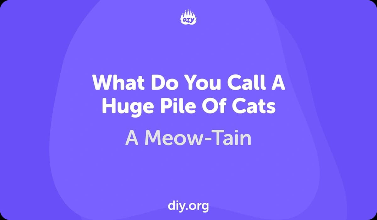 Things to Do with Kids on DIY.ORG