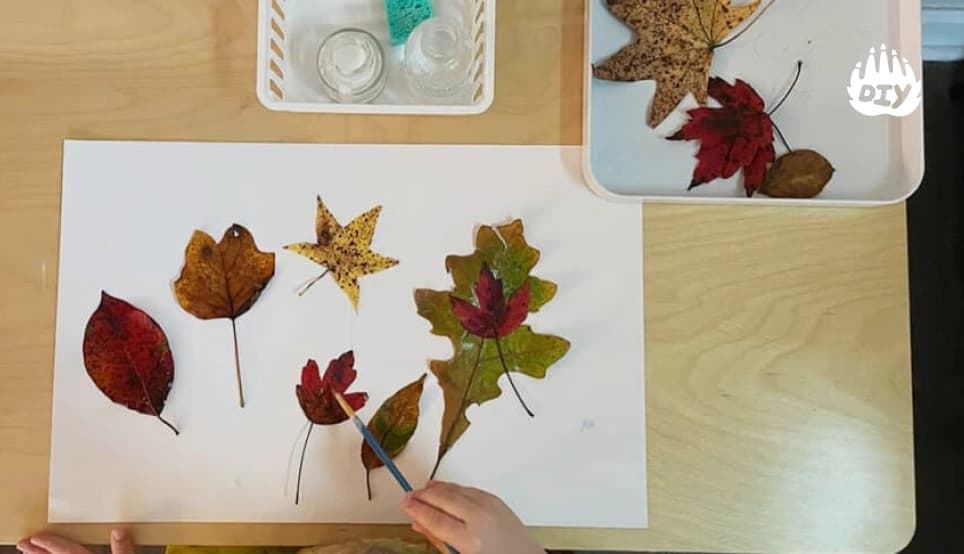 Image for Create a Leaf Collage