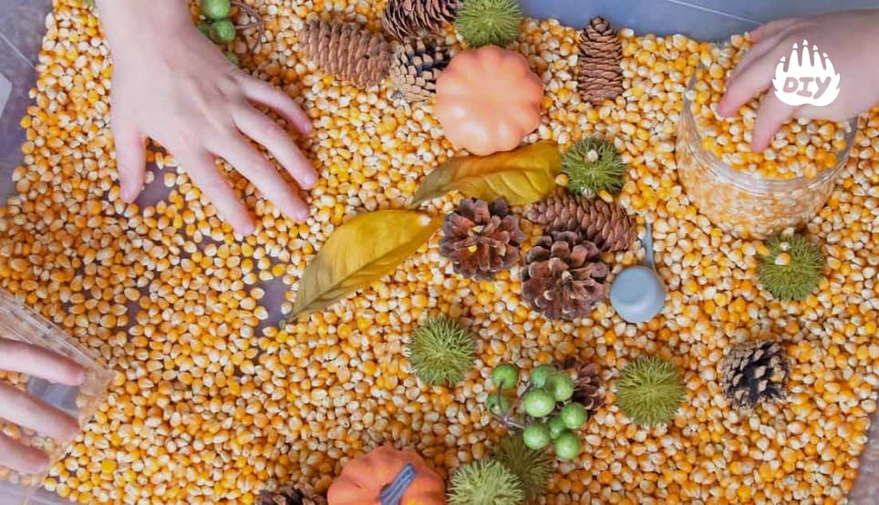 Image for Create a Fall-Themed Sensory Bin