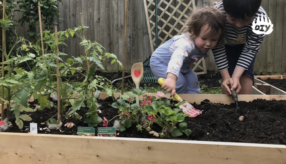 Image for Plant a Mini Garden