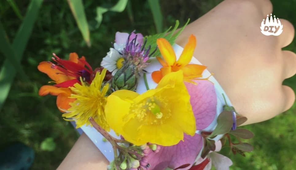 Image for Create a Nature Bracelet