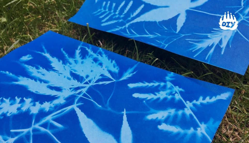 Image for Make Your Own Sun Prints