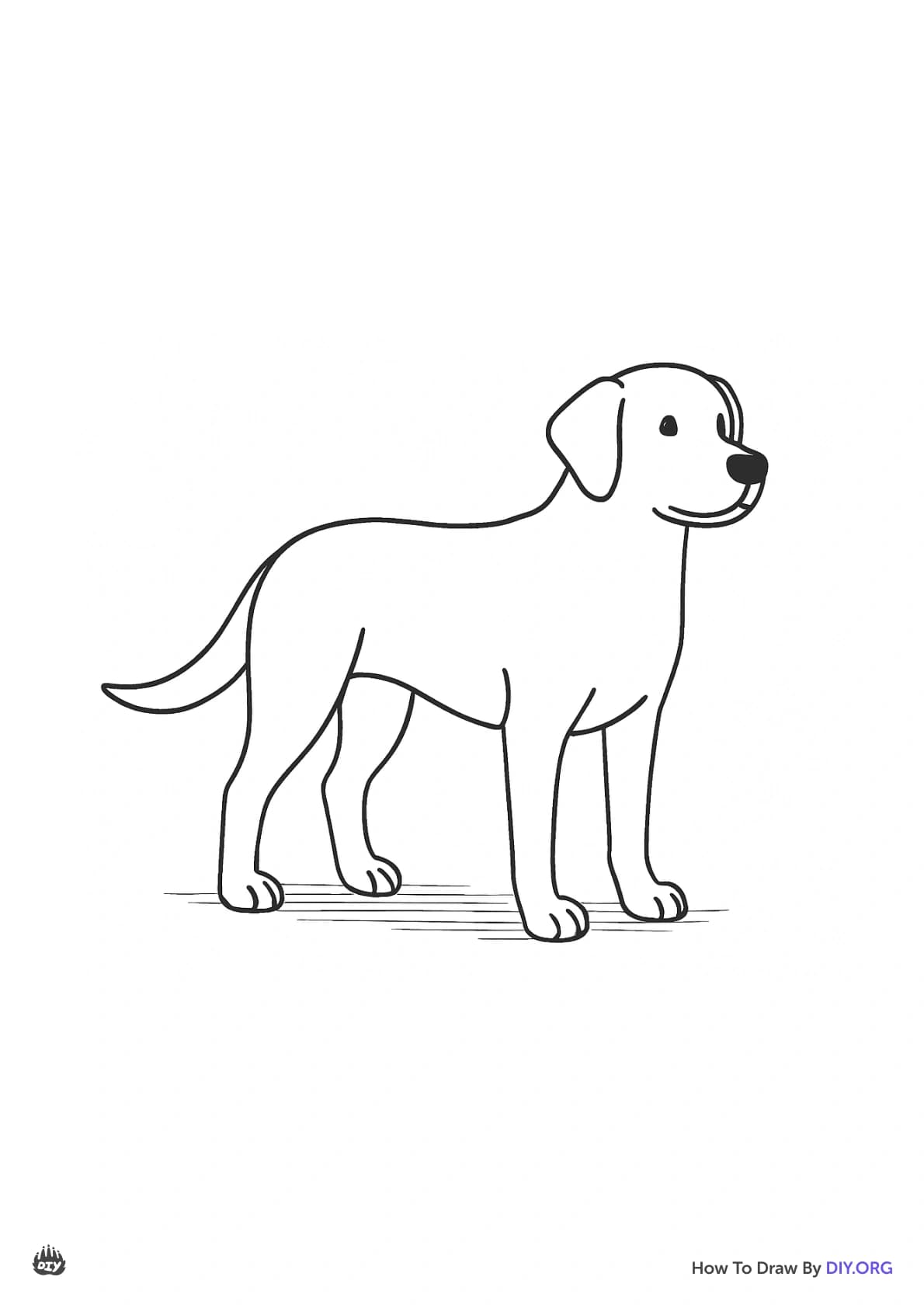 Image trace-3