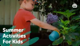 Summer Activities for Kids
