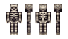 Skeleton