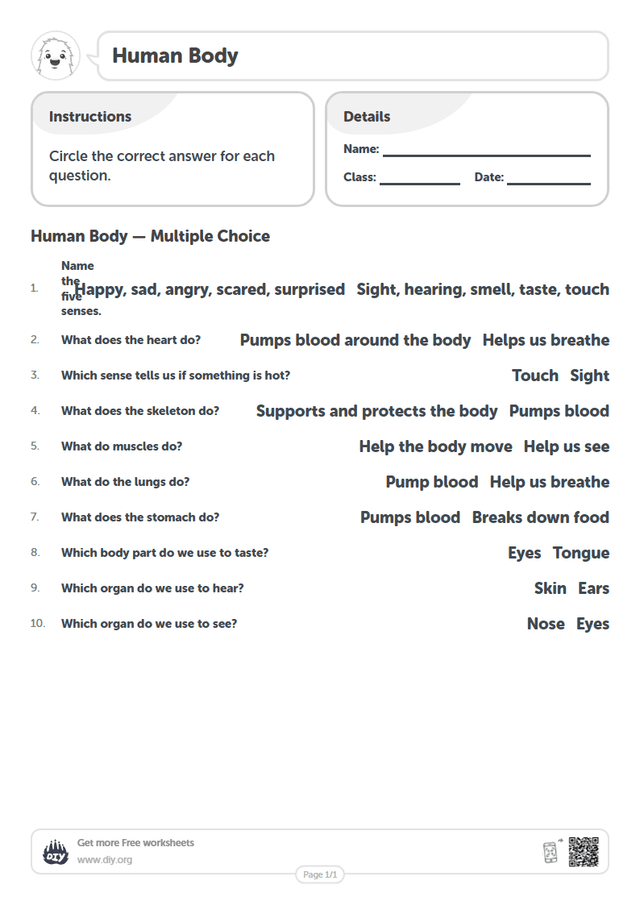 Human Body page 1