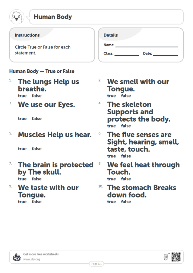 Human Body page 1