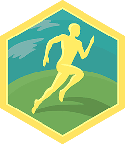 Challenge badge