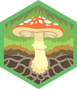 Challenge badge