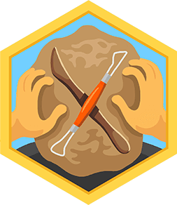Skill Badge