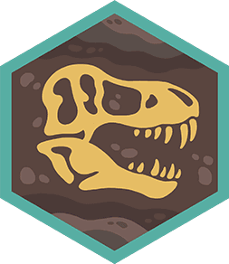 Challenge badge