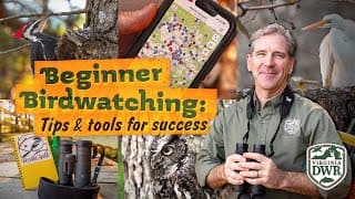 Beginner's Birdwatching: Tips & Tools for Success
