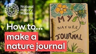 How to make a nature journal so you can record wildlife like a scientist