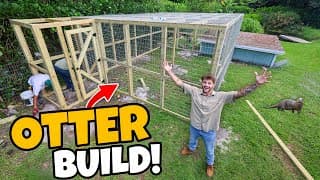 Building My DREAM ANIMAL Enclosure!! (OTTER)