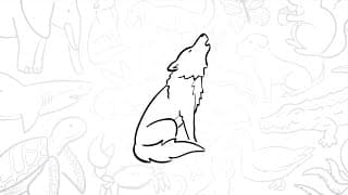 🐺 How to Draw a Simple Howling Wolf | Step-by-Step Lesson 🌕