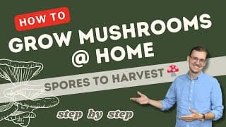 Learn How to Grow Mushrooms at Home 🍄 | Full Guide