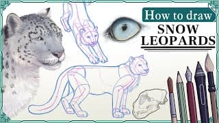 How to draw SNOW LEOPARDS - Step by Step Art Tutorial