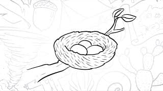 🌳 How to Draw a Simple Bird's Nest | Step-by-Step Lesson 🐣