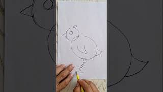 How to Draw a Cute Bird | Easy Step by Step Drawing for Beginners