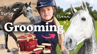 How to Groom a Horse - Pony Care Series with Esme