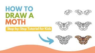 How to Draw a Moth - Beautiful Insect Drawing Guide for Beginners