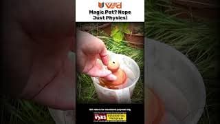 Magic Pot Trick Revealed! | Nope—Just Physics!