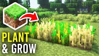 How To Plant & Grow Crops In Minecraft - Full Guide