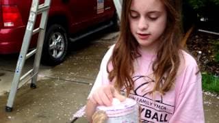 How to Keep an Egg from Breaking Project Egg Drop