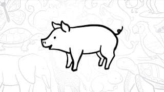 🐖 How to Draw a Simple Pig | Step-by-Step Lesson 🐷