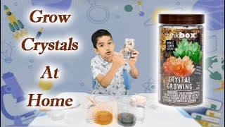 Grow Crystals at Home Fun Kids Science Experiment | Try Think Box With Aras