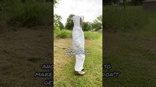 How To Put On A Bee Suit! #summeronshorts