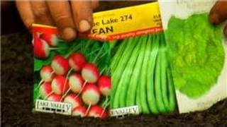 Vegetable Gardening : How to Plant a Vegetable Garden for Children Step by Step