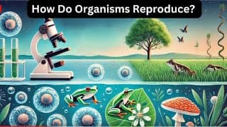 "How Do Organisms Reproduce? Exploring the Science of Life Continuity"