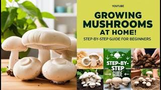 Growing Mushrooms at Home: Step-by-Step Guide for Beginners 🍄