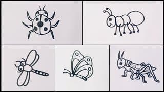 How to draw Insects // easy drawing step by step