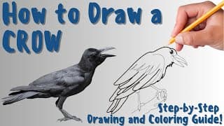 How To Draw A Crow - Fun & Easy Step-by-Step Drawing and Coloring Guide