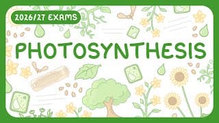 GCSE Biology - Photosynthesis