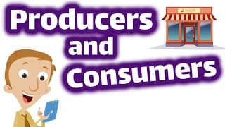 Producers and Consumers for Kids