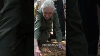 Peace Day Message 2025 from Dr. Jane Goodall | United Nations