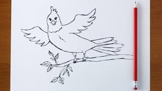 Ready for Flying Bird Drawing Easy for Beginners & Kids | How to Draw Flying Bird with Pencil Sketch