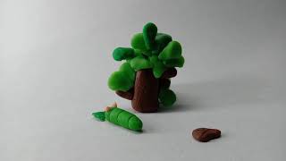 Life cycle of Butterfly-Stop Motion