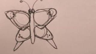 How To Draw Butterflies