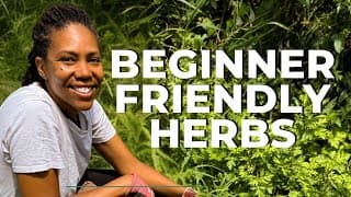 Medicinal Herb Gardening for Beginners: 15 Easy Medicinal Plants and How to Use Them