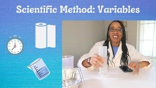 Scientific Method: Paper Towel Experiment