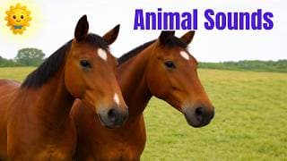 Animal Sounds For Children (40 Amazing Animals)
