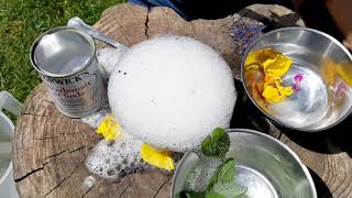 Go Wild at Home : Making a magic potion