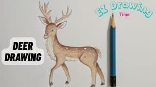 Deer Drawing | Easy Deer Drawing Tutorial Step by Step for kids and Beginners
