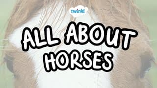 All About Horses | Fun Facts About Horses | Twinkl USA