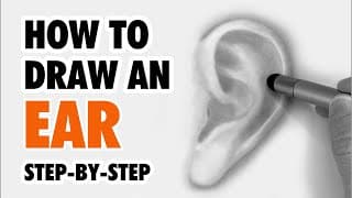 How to Draw an Ear Easy Step-by-Step for Beginners