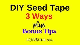 DIY Seed Tape How to Make Seed Tape - 3 Ways + Bonus Tips